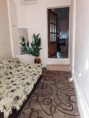 Vacation Home on Pobedy 168
